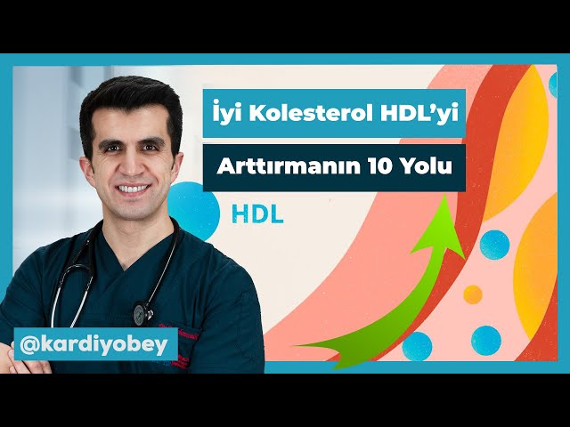 İyi Kolesterol HDL' yi Arttırmanın 10 Yolu