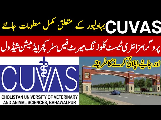how to apply in University of veterinary and animal Sciences|cuvas all courses and their fees
