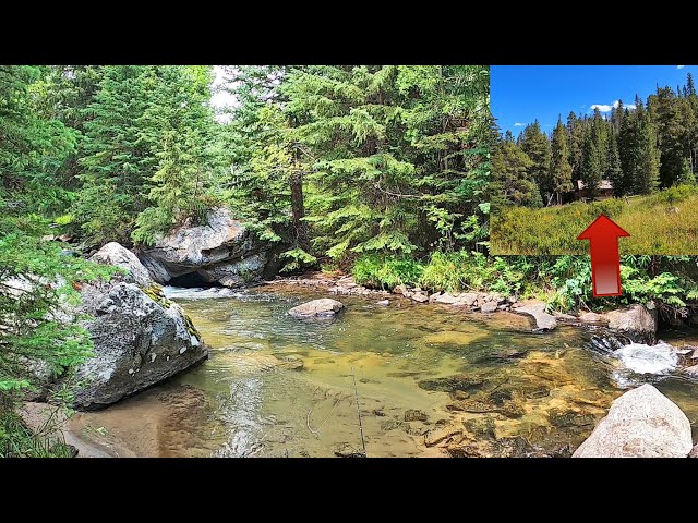 LIVE HERE & GET PAID - You can live beside THIS STREAM in a cabin provided by the Forest Service p39