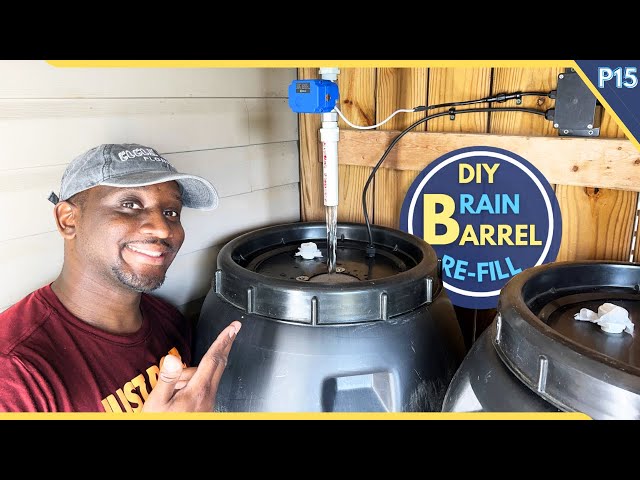 NEVER Run Out of WATER Again: My DIY Solution for REFILLING Rain Barrels