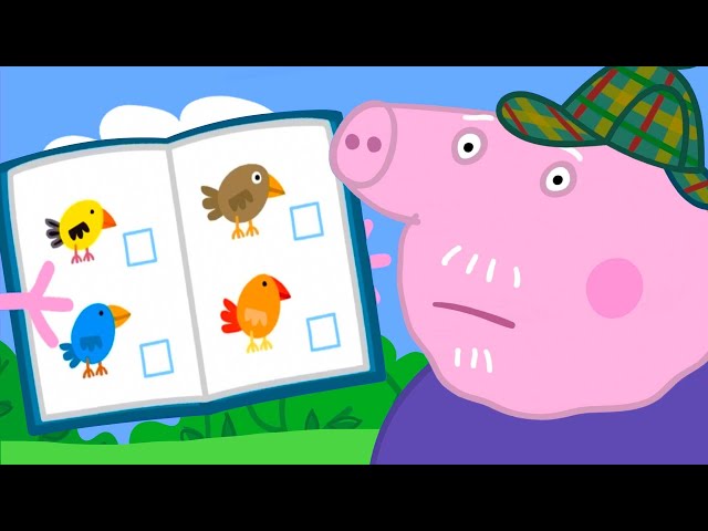 Peppa Pig Learns Bird Spotting | Kids TV And Stories