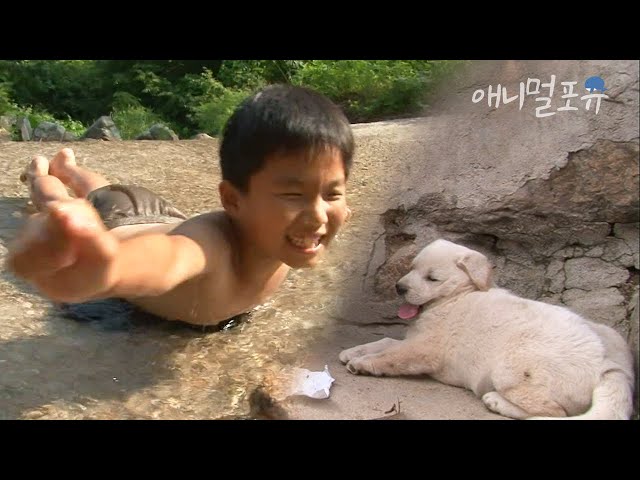 전기도 들어오지 않는 오지 마을에는 산하와 노부부, 강아지들만 살고 있다🌿 | 산하의 여름 | KBS 인간극장 2012 방송