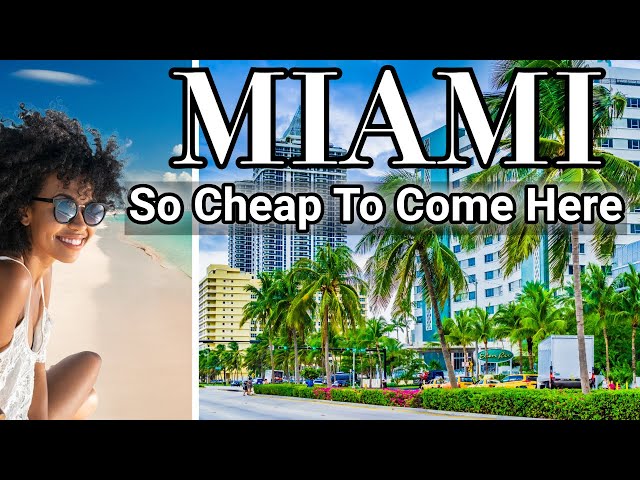 Miami Travel Guide: What I didn't Know About Miami