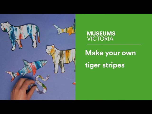 Make your own tiger’s stripes through Hydro-dipping!