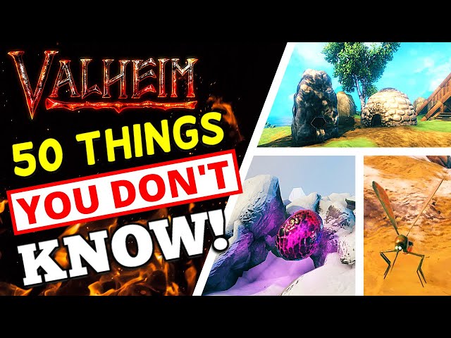 Valheim 50+ THINGS YOU DON'T KNOW! (Maybe)