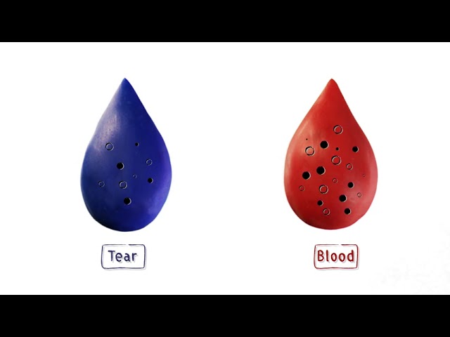 How can tears ease the burden of diabetes? – Make the connection, with EU-science