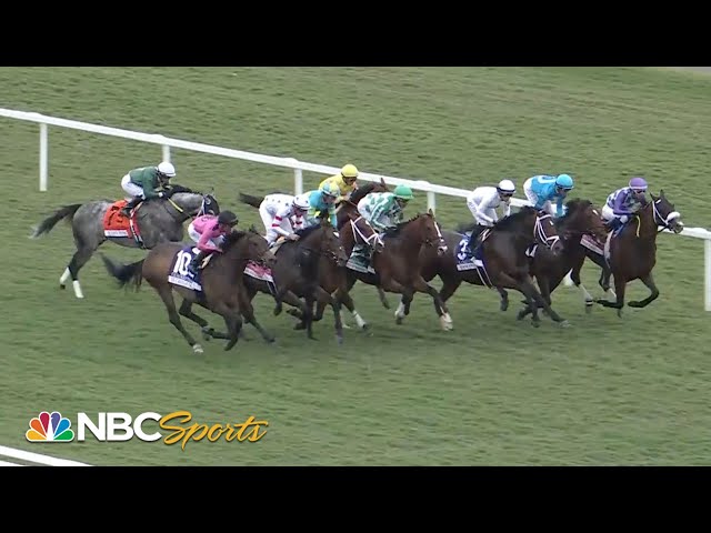 Canadian Turf Stakes 2024 (FULL RACE) | NBC Sports