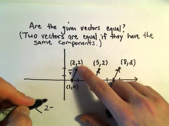 When Are Two Vectors Considered to Be the Same?