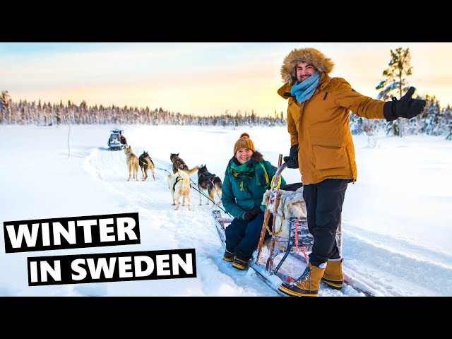 Incredible Dogsledding & Northern Lights In Lapland Sweden!!