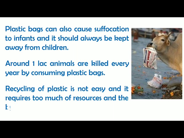 10 lines on harmful effects of plastic on environment | Smart Learning Tube