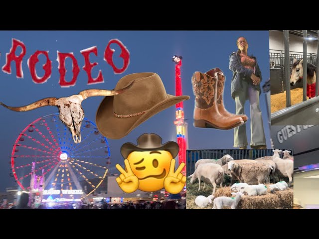 Had a blast at the Rodeo!!
