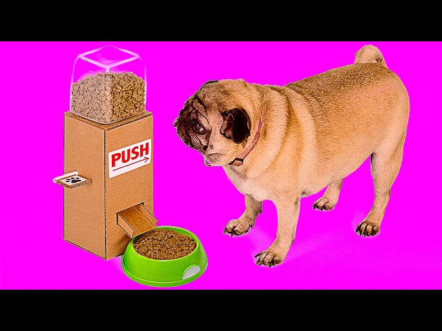 AWESOME CARDBOARD IDEAS FOR YOUR PETS || DIY Food Dispenser And Giant Labyrinth From Cardboard