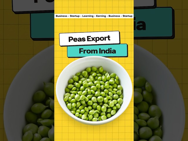 Indian Peas Export 🤯