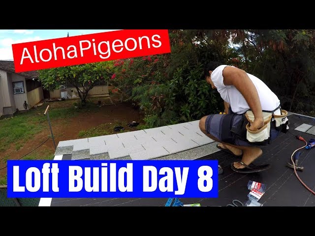 Homing Racing Pigeon Loft Construction Day 8