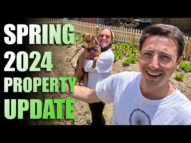 Spring 2024 Update (Bees, Garden, Tree Web)