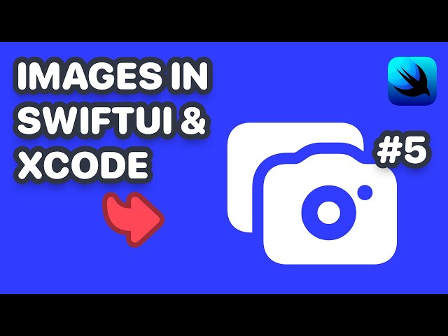 How to use Image in SwiftUI (SwiftUI Image, SwiftUI Image Resizing, SwiftUI Image Aspect Ratio)