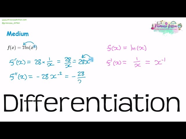 Differentiation (Part 2 Special Examples) | Revision for Maths A-Level and IB