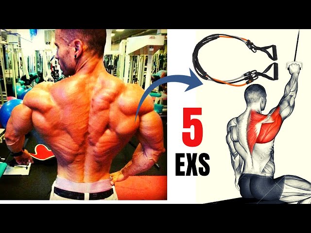 5 BACK WORKOUT WITH RESISTANCE BANDS AT HOME / Musculation dos avec élastiques