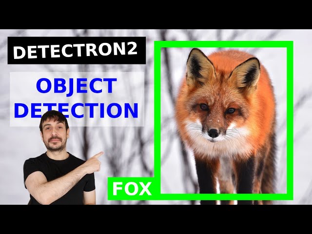 Train custom object detector with Detectron2 | Computer vision tutorial