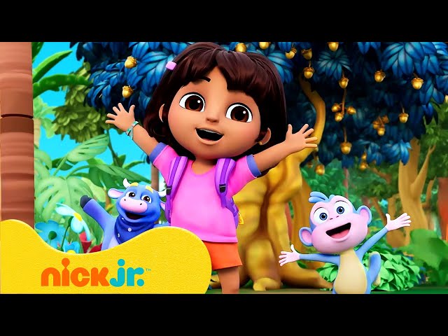 Dora | Beste vriendschapsmomenten met Dora! | Nick Jr. Nederlands