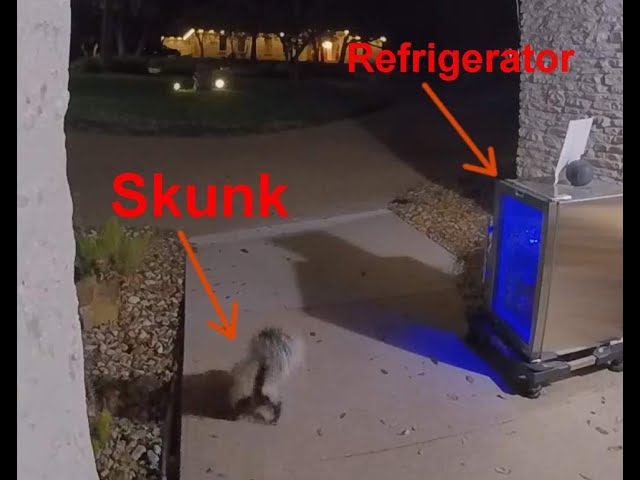 2024 Skunk by Front Door Refrigerator