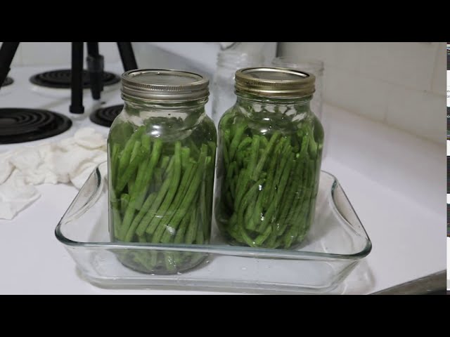 Fermented Green Beans and Hot Peppers - No Canner Required