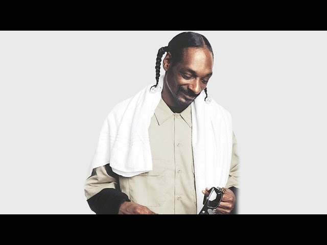 Best Songs Of Snoop Dogg - The Next Episode, Drop It Like It's Hot, Sweat