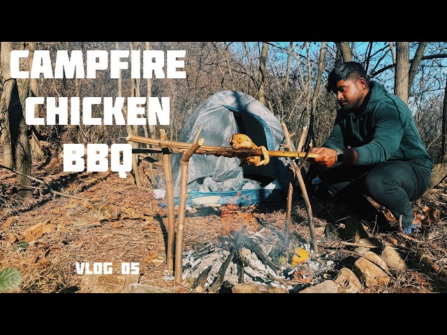 Campfire chicken BBQ | Solo forest camping and cooking Bushcraft | Vlog 05 | ASMR