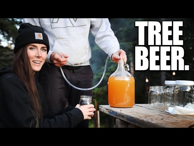 Can we make BEER from a TREE? #homemade #drink #recipe