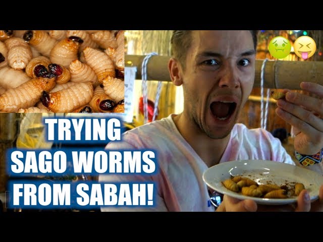 TRYING SAGO WORMS BUTOD FOR THE FRIST TIME!!