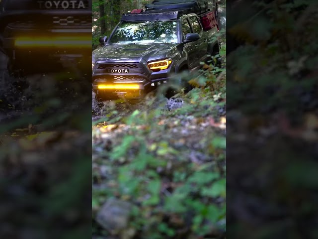 Toyota Tacoma Crossing a Creek 😍