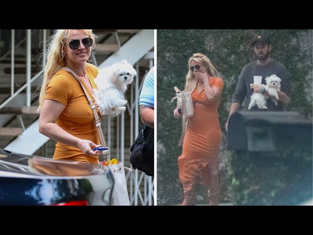 Smiling Britney Spears Enjoys Public Outing Amid Memoir Spotlight