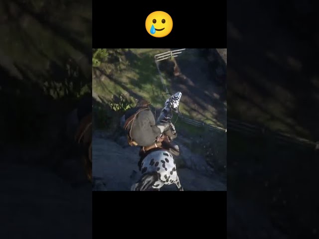 RDR2 - My horse doesn't want to stop