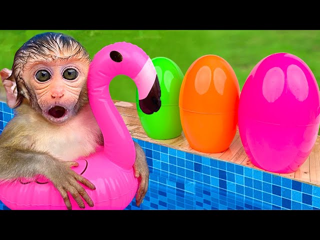 Monkey BonBon Goes Swimming and What's Inside The Egg - Crew BonBon