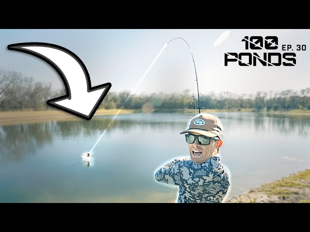Catching A Surprise GIANT While Pond Fishing! (100 Ponds Ep. 30)