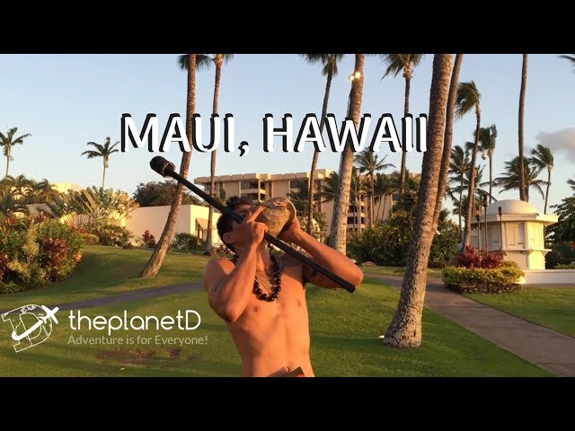 Top 10 Things to do in Maui | The Planet D | Travel Vlog