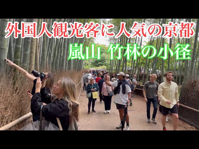 2024年5月19日 外国人観光客に人気の京都 嵐山竹林の小径を歩く Walking the bamboo forest trails of Arashiyama 【4K】