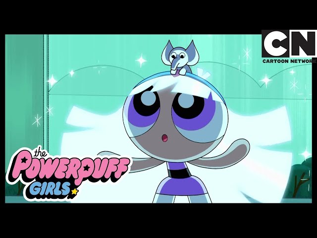 Bliss and Her Powers 💜 | Powerpuff Girls | Cartoon Network