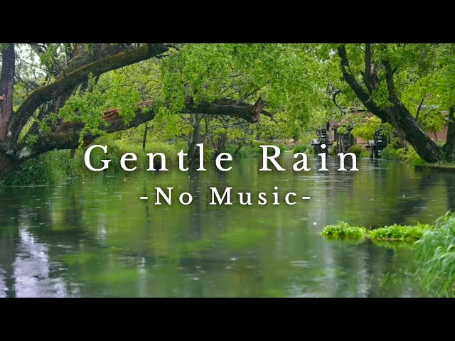Gentle Rainy Ambience - Pure Nature - 3 Hours