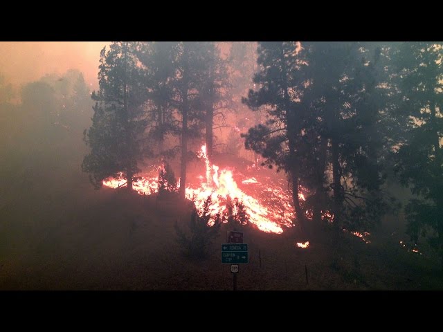 Canyon Creek fire was mismanaged on multiple levels