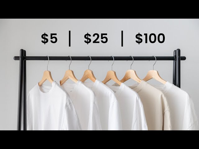 $100 vs $25 vs $5 WHITE T-SHIRT
