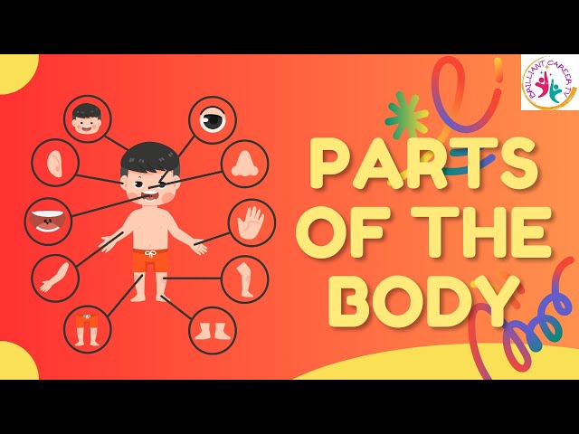 Exploring Body Parts and Their Charms!  Rhymes That Teach and Delight!" Learn and Shine! Fun Body.