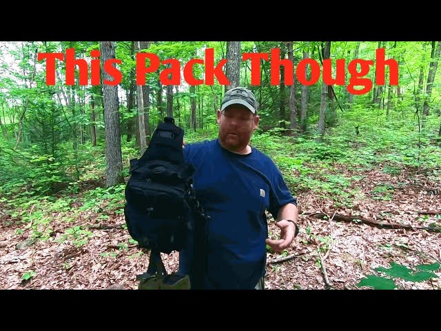 You Will Not Believe This Backpack And The Black Bear In The Tree A MUST SEE VIDEO