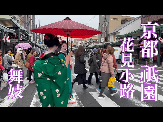 京都祇園 和傘をさして花見小路を往く舞妓さん Maiko of Gion Hanamikoji,Kyoto 【4K】 大石忌