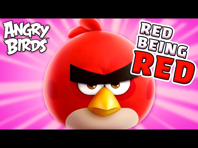 Angry Birds | Red being Red 🐦