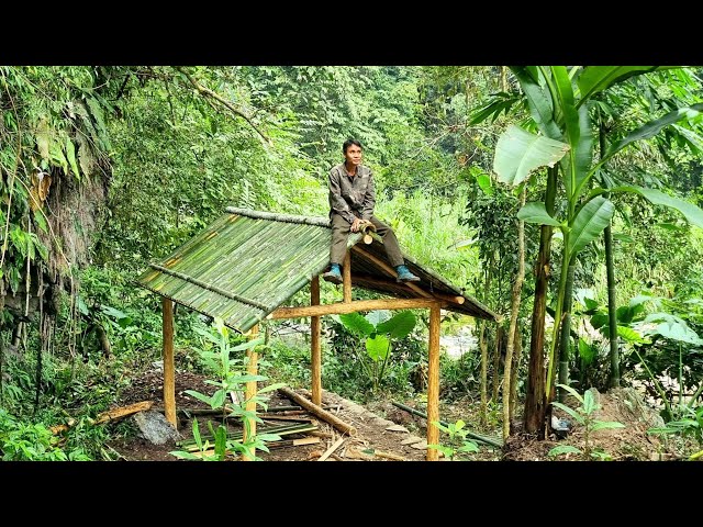 Build a shelter in the wild forest, Find food by the natural stream - Tropical Forest