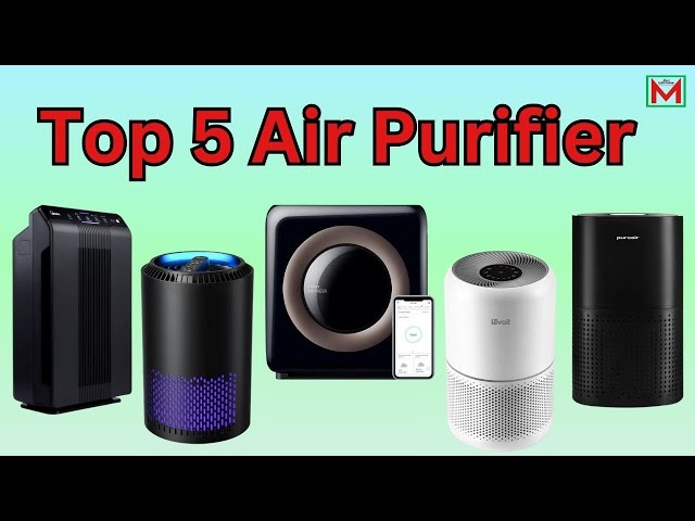 Top 5 Best Air Purifier on Amazon 2024.