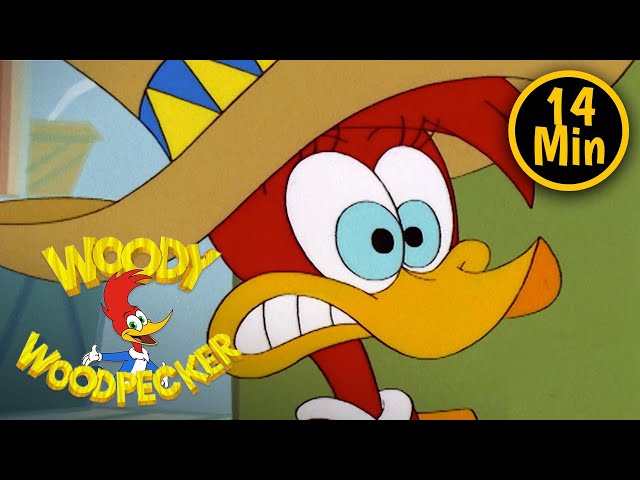 Woody Woodpecker | Winnie's New Job | 2 Full Episodes