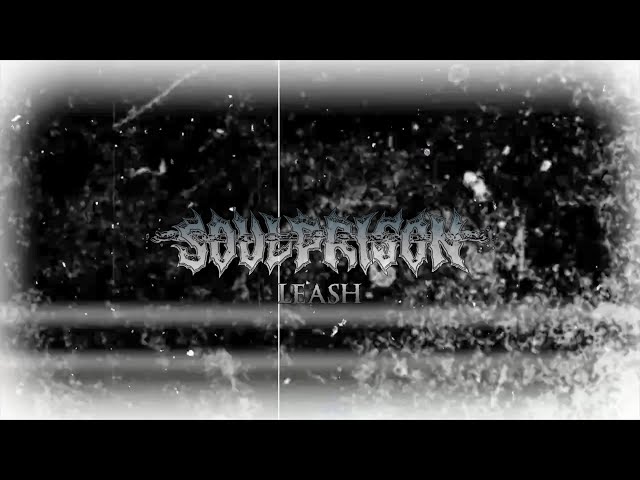 Soulprison - Leash (Visualizer)