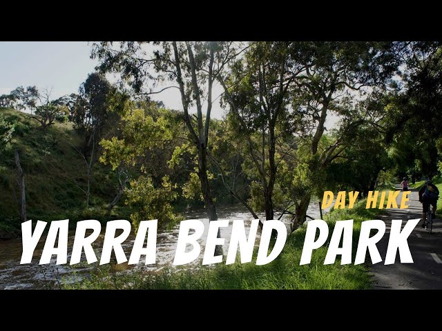 Quick Solo Day Hike Minutes from Melbourne CBD - Yarra Bend Park